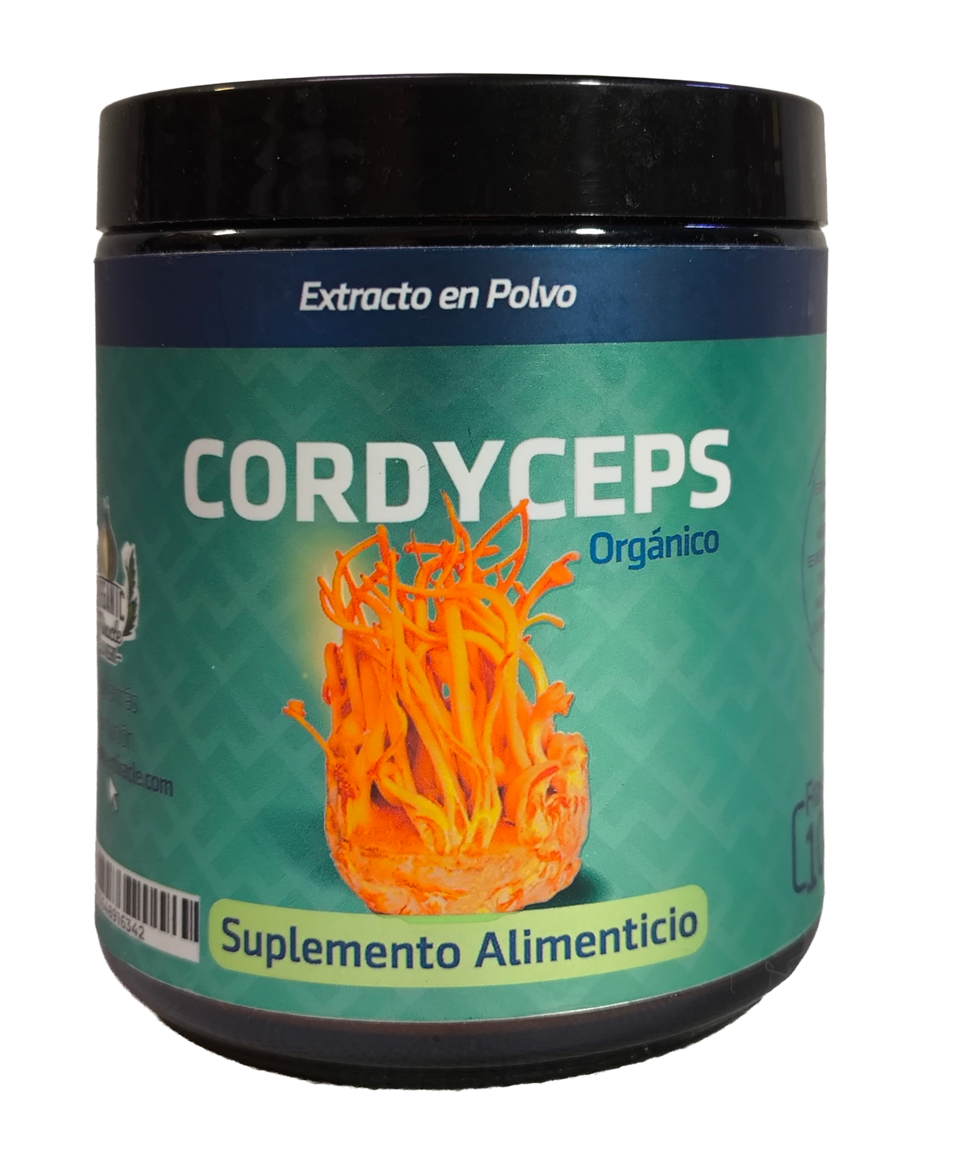 Cordyceps